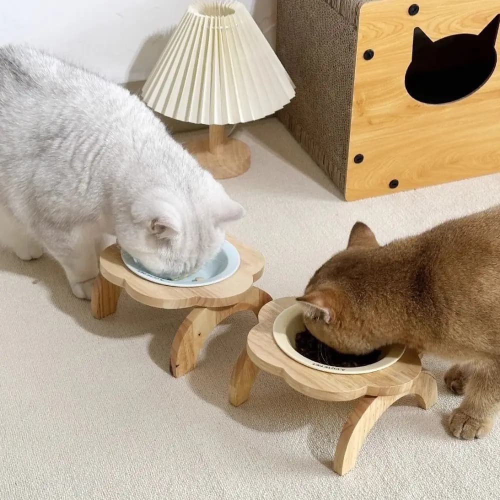 Ceramic Flower Shaped Pet Bowl Anti-Spill Non-Slip Raised Cat Food Bowl with Wooden Stand Detachable Dog Feeder for Cats Dogs