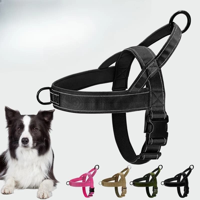 Pettorina for dogs with non-elasticized chest strap, anti-traction and anti-smoking for hiking, running and training