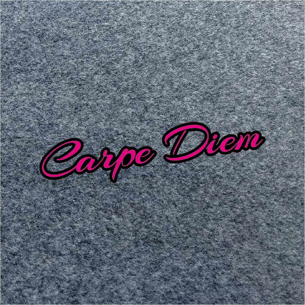 Adesivo in Vinile Impermeabile con Scritta Carpe Diem in Corsivo, Rosa/Nero/Bianco, per Auto, Laptop, Moto e Borracce