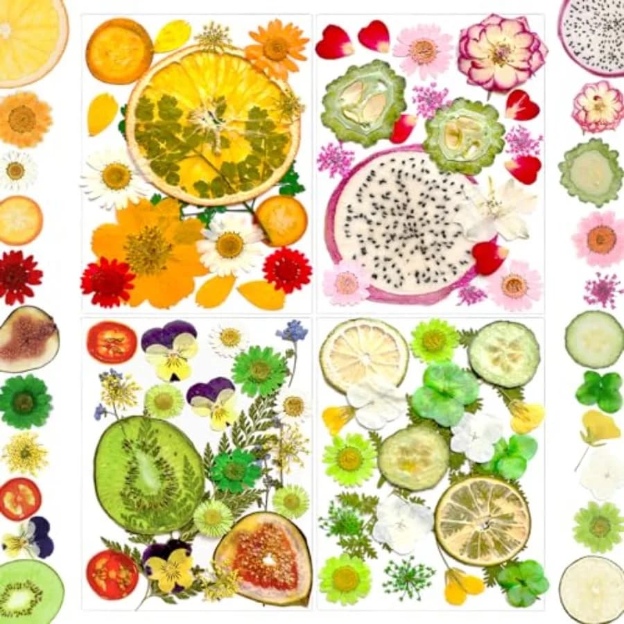 75 Pezzi Fiori e Frutti Essiccati Pressati per Stampi in Resina, Foglie Floreali Naturali Assortite per Artigianato Fai-da-Te e Gioielli in Resina Epossidica