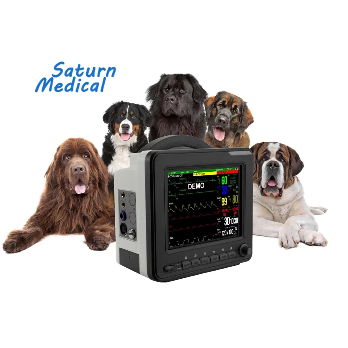 Hot Sale 6 Multiparametric Digital Pulse Oximeters for Pets Veterinaries for Health SPO2 Bpm Pressure with Here2