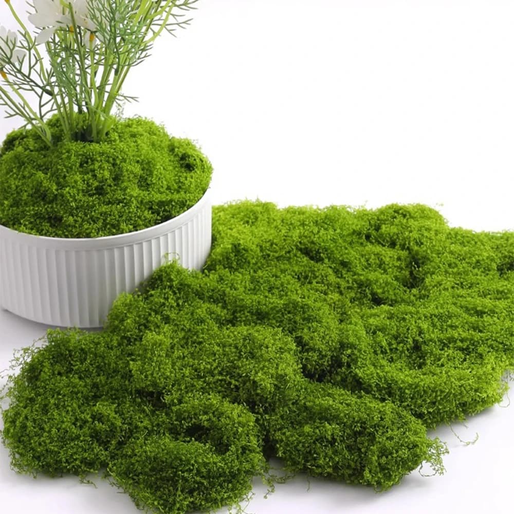 Vita eterna Muschio Artigianato fai da te Erba Piante verdi artificiali Home Room Garden Decor Mini Paesaggio Erba finta 20/40/100g decora