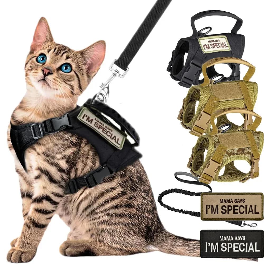 Imbracatura toracica tattica per gatti Corda di trazione in stile gilet Imbracatura per gatti regolabile Esci per cani da compagnia Previene la rottura Imbracatura per gatti da addestramento