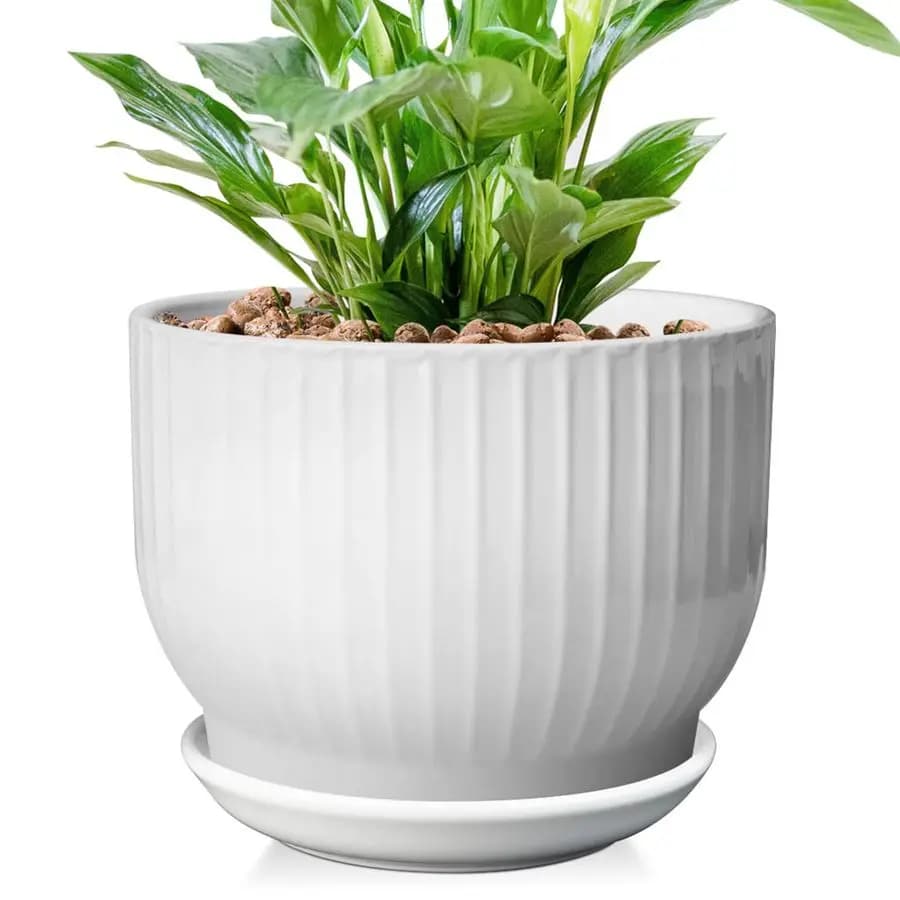 Inch ceramic plant vase, with drainage and underwater, for indoor plants, pure white