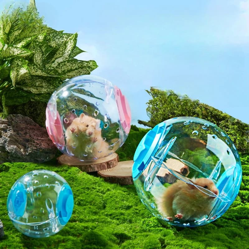 Criceto Running Ball Indoor Golden Wire Bear Crystal Running Ball Roller Sports Ball Running Ball criceto Sports Running Ball