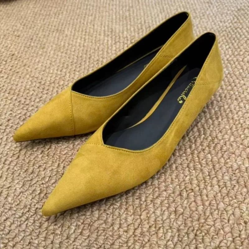 French Slip-on Shoes for Women 2026 Spring and Autumn New Wedge Heel Temperament Pointed Toe Shallow Mouth Low-top Shoes
