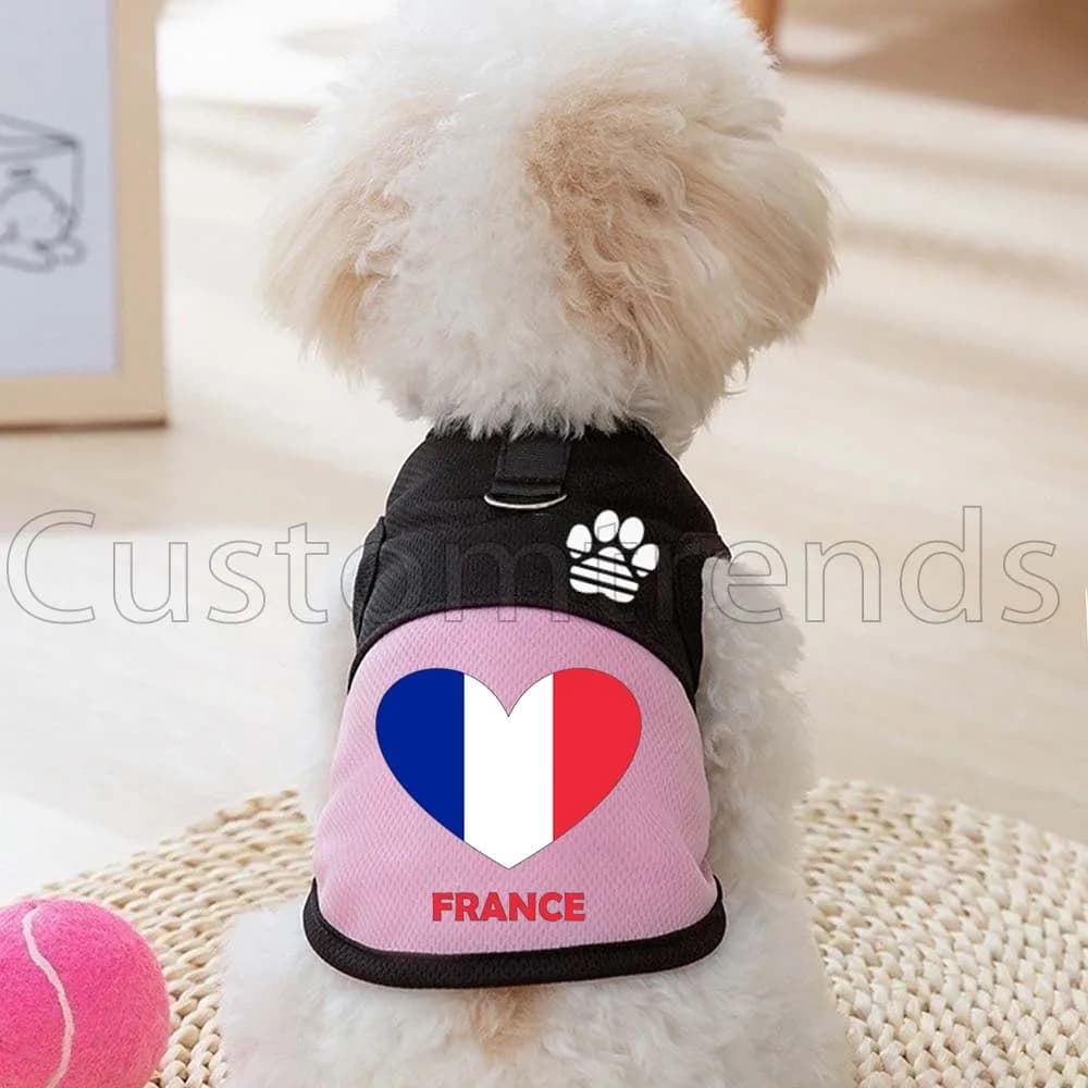 Pettorina in rete con bandiera a cuore del Benin per cani e gatti, abbigliamento estivo da esterno per cuccioli e gattini, gilet per cani con stampa zampa e anello a D per guinzaglio