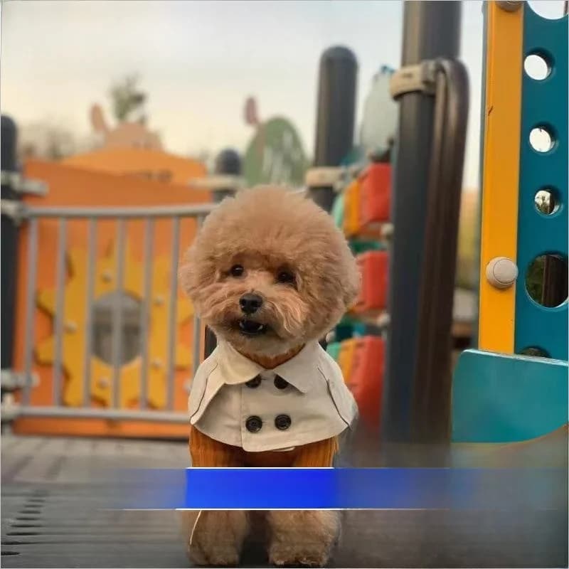 Abbigliamento per animali domestici in stile coreano Teddy Bear, mantello antivento per cani con colletto ribaltabile sulle spalle, vestiti antivento in stile britannico, freschi per l'estate