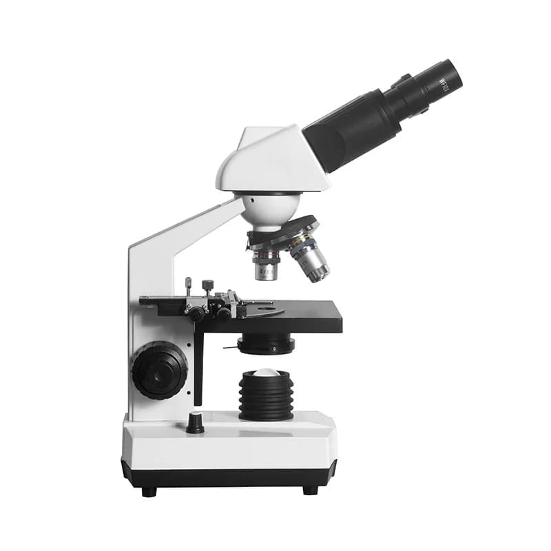 Microscopio Binoculare Ottico per Cliniche Veterinarie/Prodotti Disponibili/Offerta Speciale