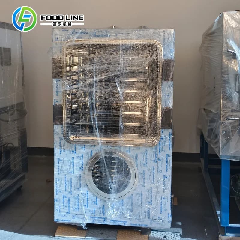 Liofilizzatore Personalizzato per Frutta e Verdura, Macchina per Liofilizzazione Sottovuoto
