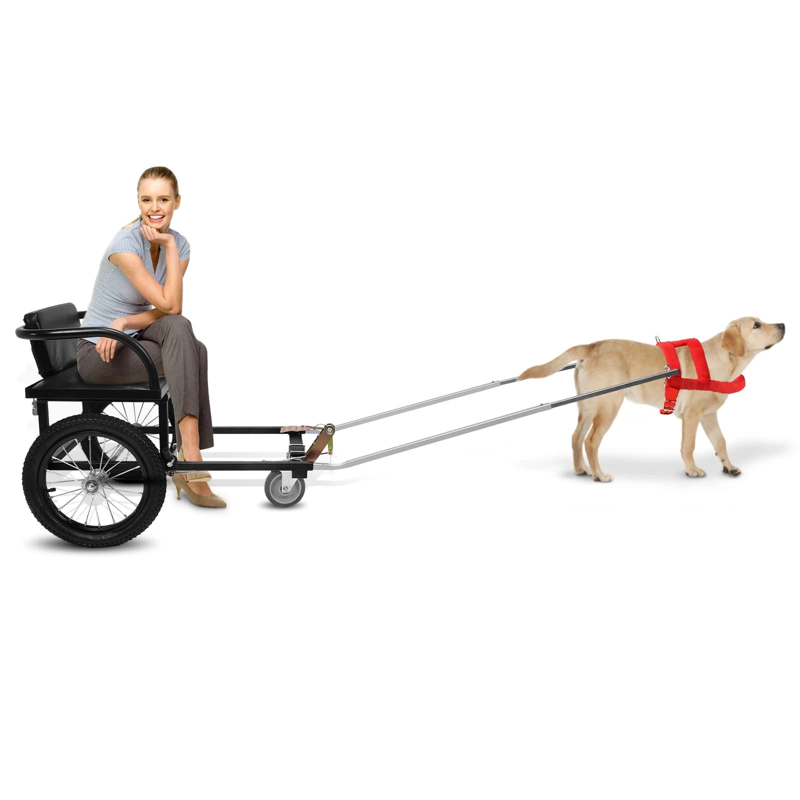 Kit Rimorchio per Cani con Doppio Freno 40-60KG, per Trasporto Persone e Passeggini con Sedile, Carrello per Cani per lo Shopping