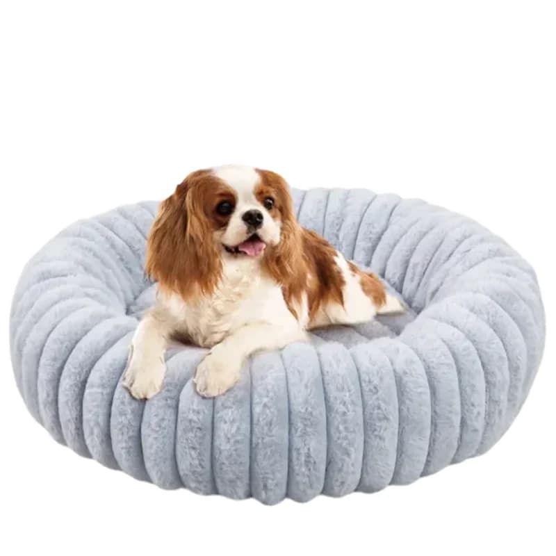 Letto rotondo per animali domestici per cani, divano letto invernale caldo per gatti, cuccia interna per gatti, disponibile per tutte le stagioni