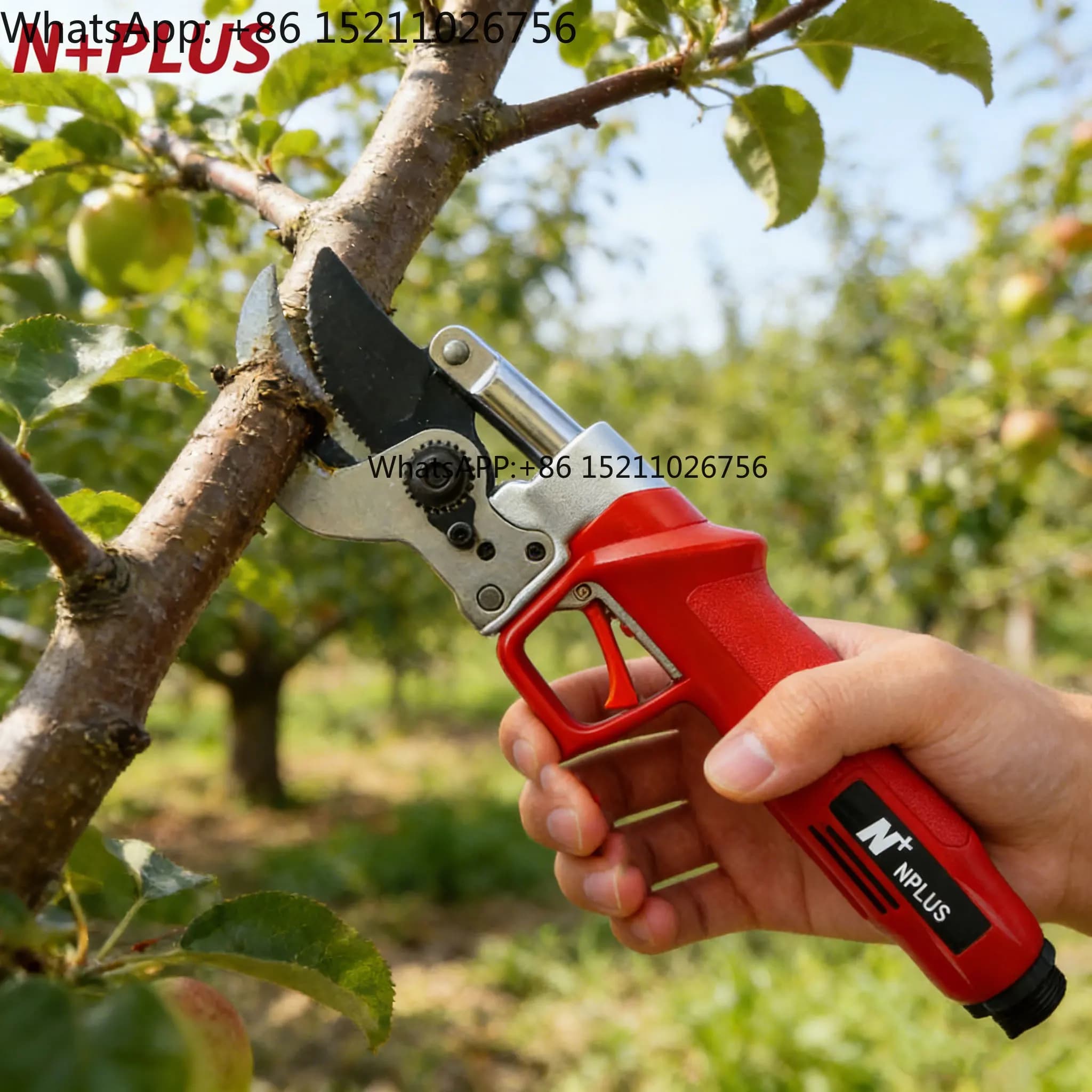 N+PLUS Power Supply, Use in Frutteti and Gardens, Long Battery Life, SK5 Precision Blade