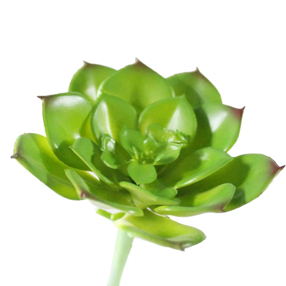 Artificial Succulent Plant Green 31x31x24 Premium PVC Pollict for Mensole Decoration, Desks, Tables, Balconies and Davanzali