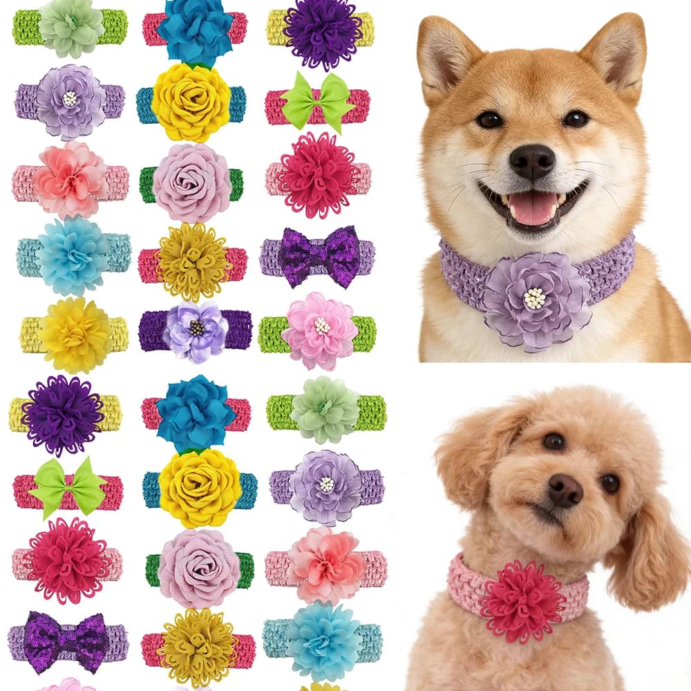 50/30 Pezzi Papillon per Cani Stile Pasquale con Elastici, Fiore Colorato in Chiffon, Accessori per Toelettatura e Collare per Animali Domestici