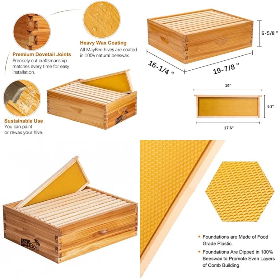 Arnia Langstroth a 10 Telai, Mediana, Super Box per Apicoltura, con Telai in Legno e Fondamenta Cerate, in Vendita