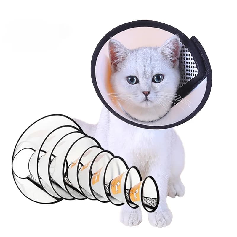 Collare protettivo per animali domestici Collare a cono per recupero collo di cane Anti-morso Leccare la guarigione delle ferite Gatti Cani Addestramento sanitario Cerchio medico Strumento