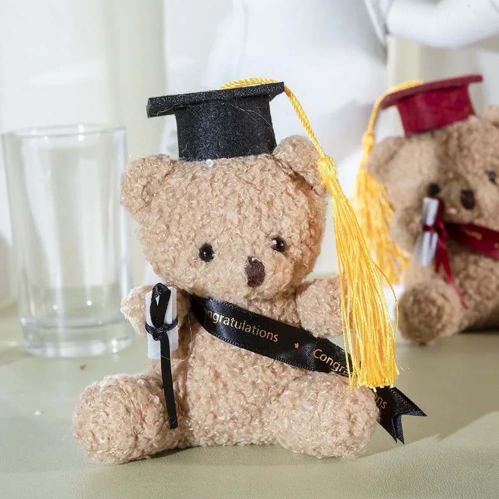 2026 Dr. Bear Orsetto di peluche carino, Regali per l'asilo, Regali di laurea, Orsetto dottore di peluche, Ciondolo per borsa, Portachiavi
