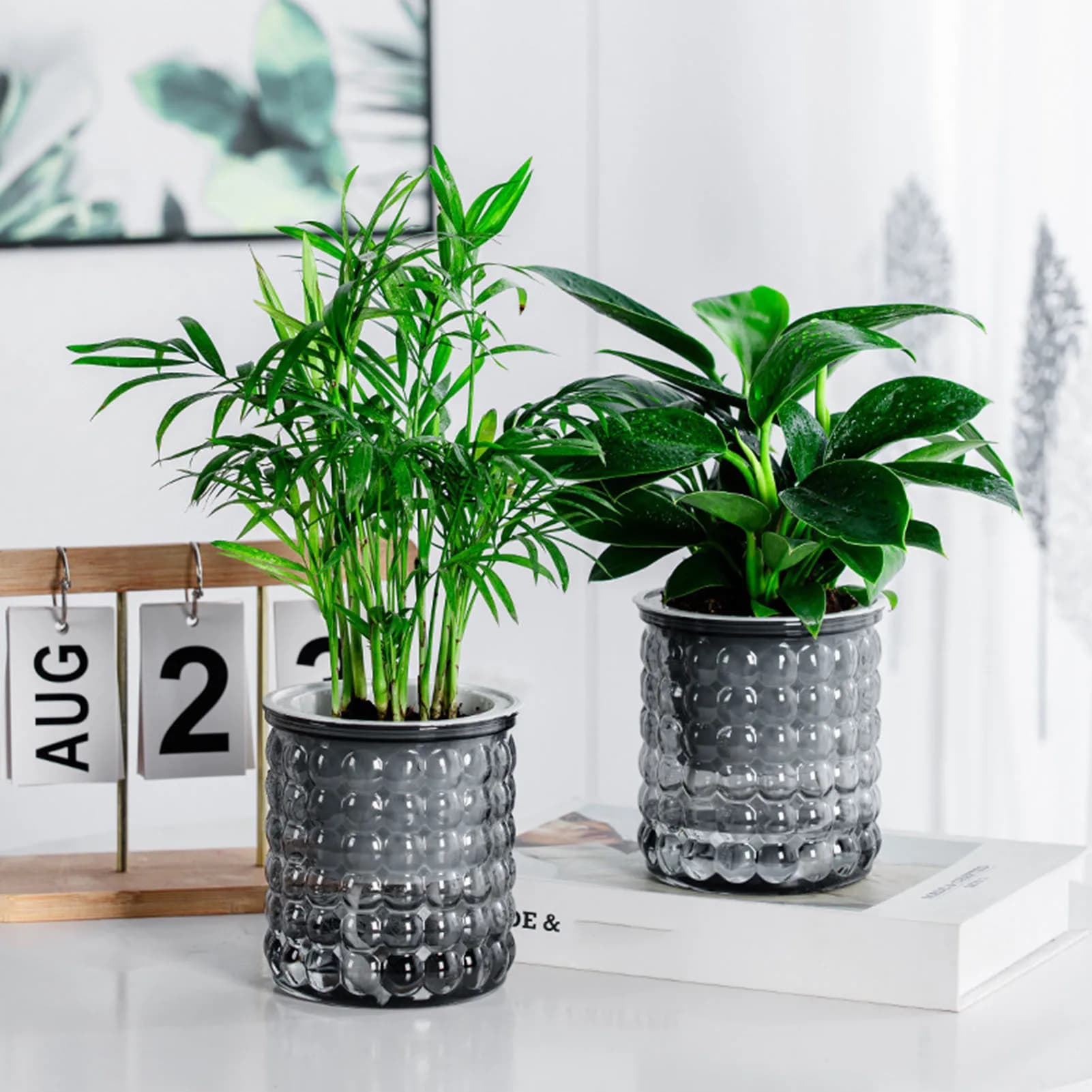 Nuovo vaso per piante idroponiche con irrigazione automatica Fioriera succulenta in plastica Vaso da tavolo Home Office Bonsai Decor Fioriera Vaso decorativo