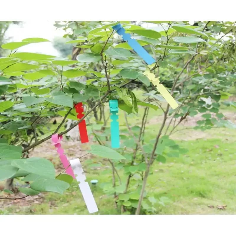 100 Pz/set Plant Registration Label Vivary Plants for Trees Labels Applied Markers Fruit Seeds Flower Signs Paper Garden Tools