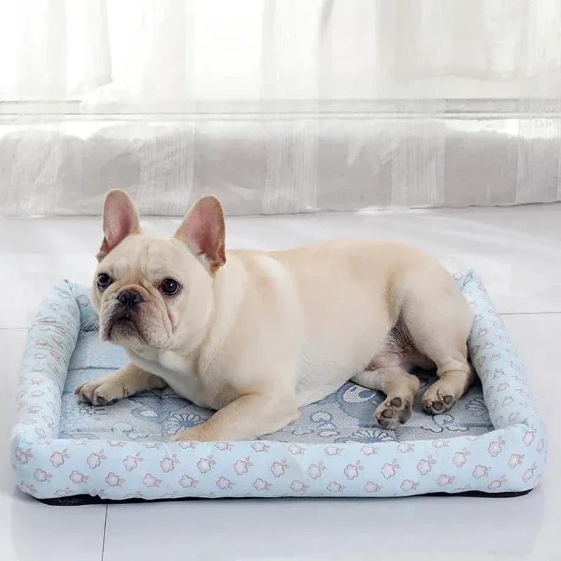 Tappetino per cani divano rinfrescante accessori per animali letto piccole razze cani cuscini per coperte prodotti cestini grande cuscino animali domestici letti per cuccioli