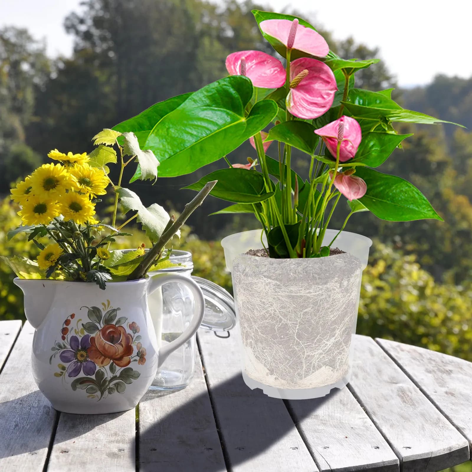 Set of 5 Transparent Plastic Plant Vases, Orchid Growing Containers, Flowers, Vegetables and Seeds, Gardening Accessories