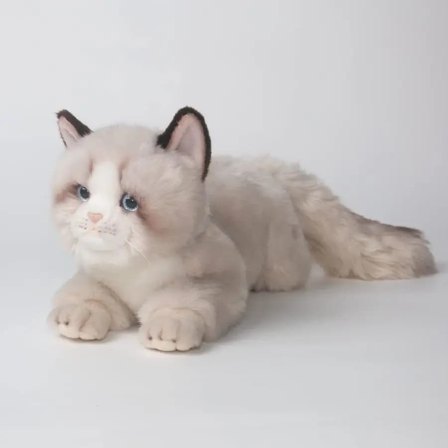 Peluche Gatto Ragdoll Grigio da 20 Pollici, Giocattoli di Peluche Fatti a Mano, Simpatico Gatto Ann Baker, Regalo di Compleanno per Ragazzi e Ragazze