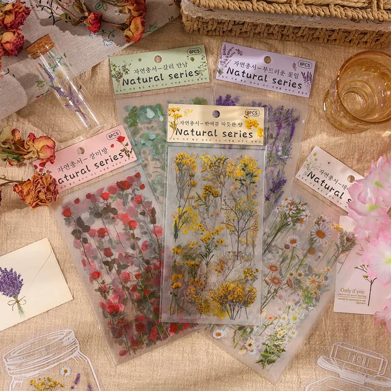 6-pack nature book series album sticker pack PET plant flowers retro style handbook enthusiasts creative material stickers