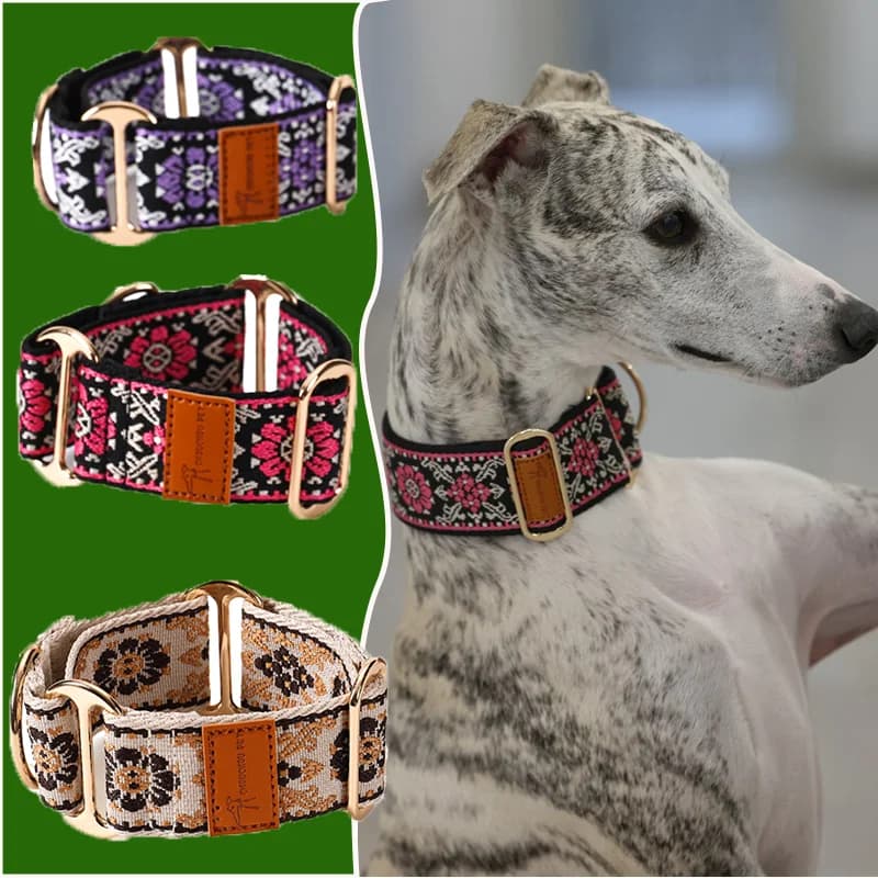 Collare per cani Martingale in stile etnico cinese Galline / Collare levriero / Collare Lggy / Collare Lurcher / Collare Whippet / Collare Galgo