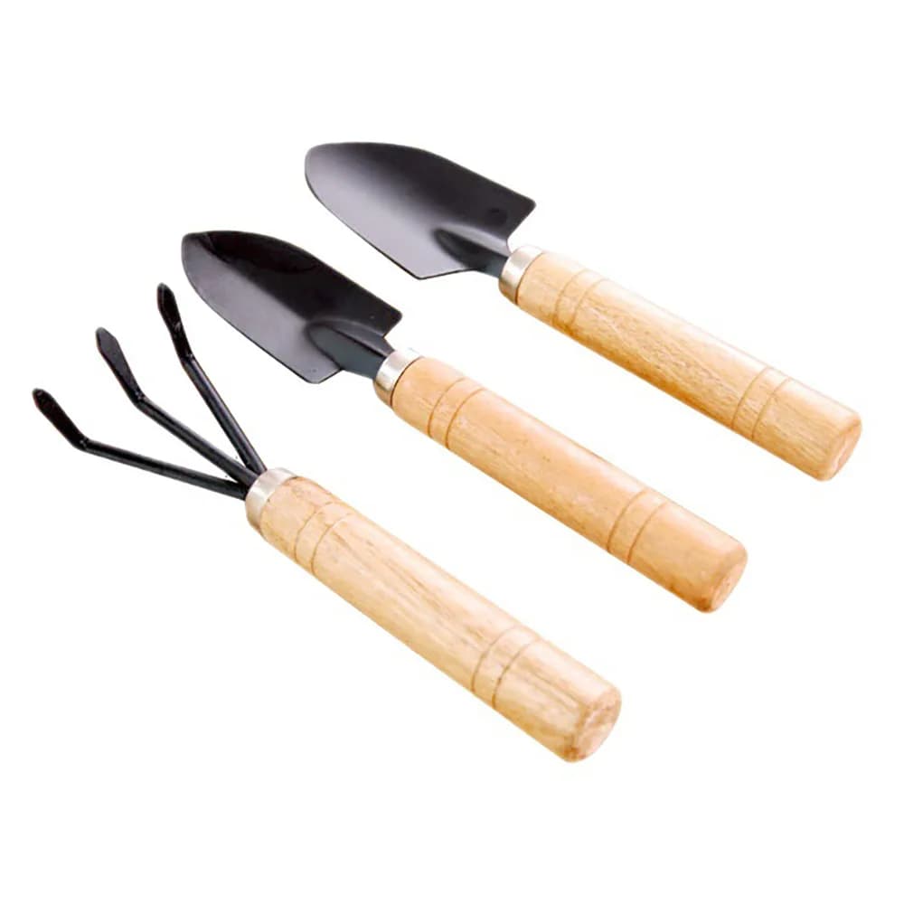 Mini set da giardinaggio succulente in tre pezzi con strumenti in legno e ferro Pala per fiori per allentare il terreno e manico in ferro