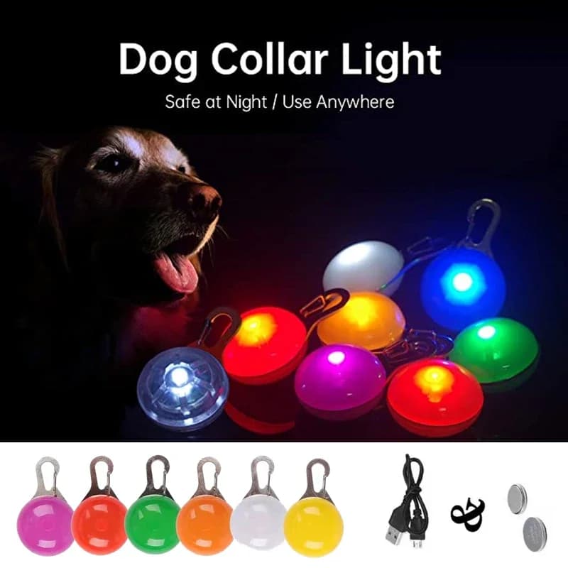 Collare LED per Cani Ricaricabile USB, Ciondolo Luminoso per Cuccioli, Accessorio Decorativo per Guinzaglio, Collana per Cani