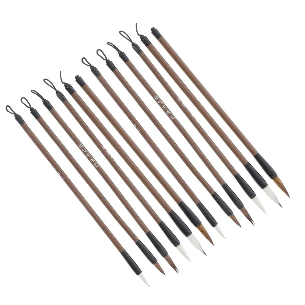 12Pcs Chinese Calligraphy Brushes Set for Students Beginners Professional Ink Brushes Writing Drawing Calligraphy Practice