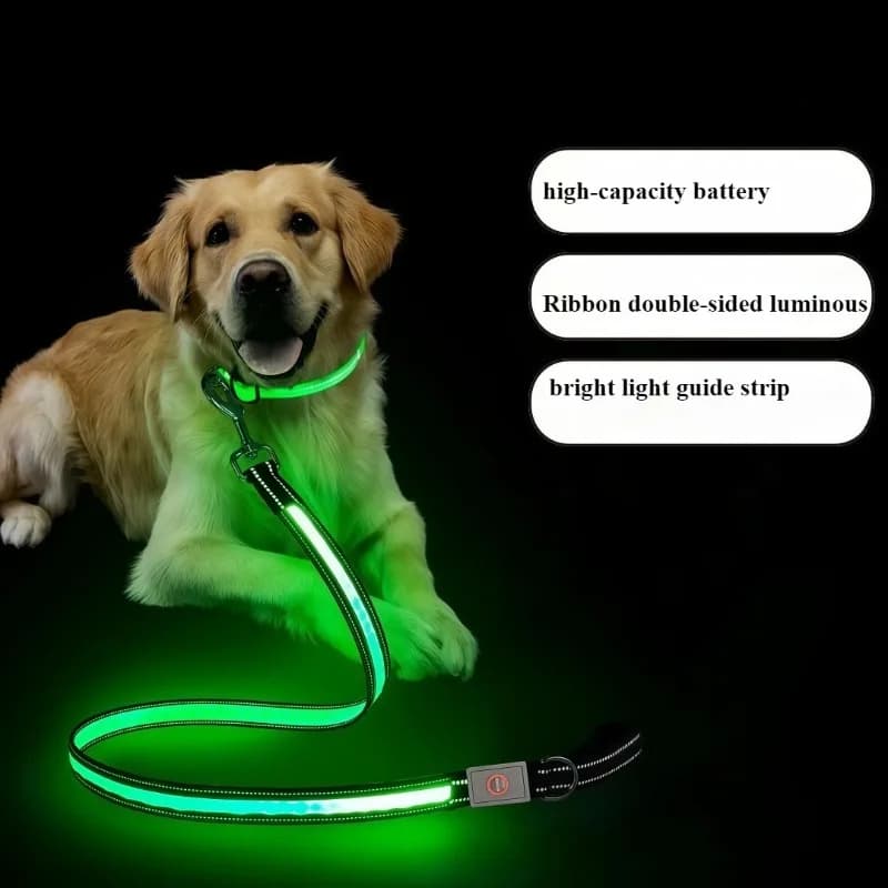 Guinzaglio per cani illuminato a LED Cani che camminano notturni con cintura di sicurezza Guinzaglio per animali domestici ricaricabile per cani di piccola e media taglia Catena per gatti di grandi dimensioni