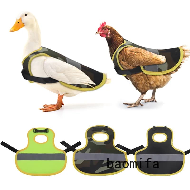 Gilet per pollo Grembiule da sella per gallina da fattoria regolabile per animali domestici Gilet riflettenti notturno Grembiule da sella per gallina di pollo Accessori per pollo con piume