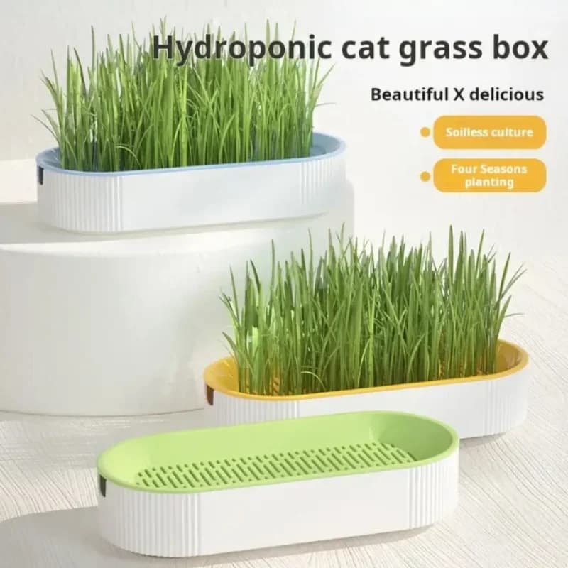 Hydroponic Cat Grass Box Cat Treats Catnip Hydroponic Soilless Planting Cat Grass Pot Set for Easy Growth