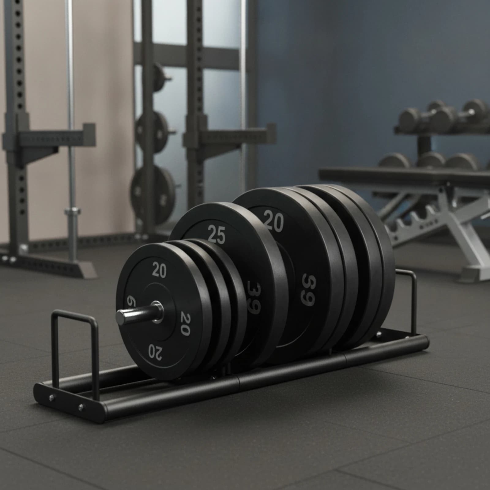 Weight Plate Storage Rack Space-Saving Barbell Plate Rack Organizer Compact Long-Lasting for Weightlifters, Home Gym