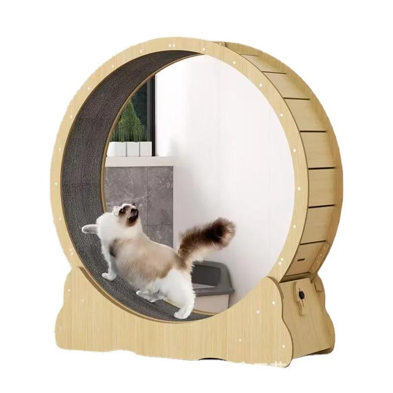 Ruota fitness per gatti giocattolo da interno giocattoli interattivi per gatti ruota da corsa per gatti di grandi dimensioni con forniture per animali domestici da pista sul tappeto