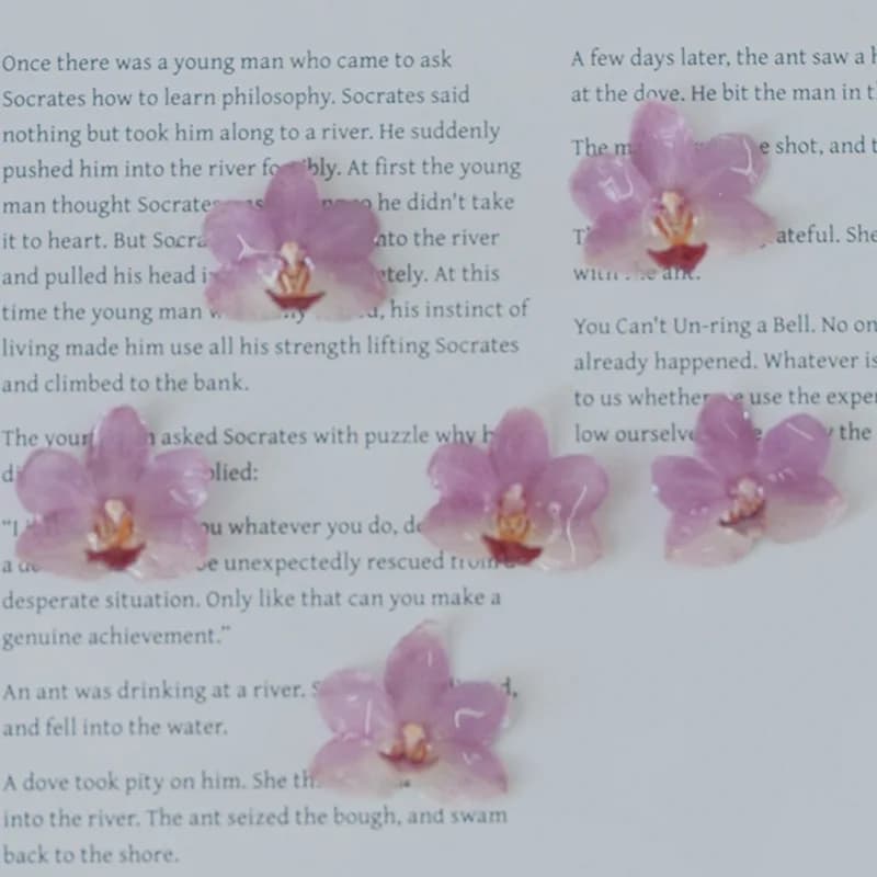 Do-it-yourself Jewels Natural Rose Resin Orchid Kit Handmade Earrings Rings Bracelets Handmade Materials Creating Accessories Set New