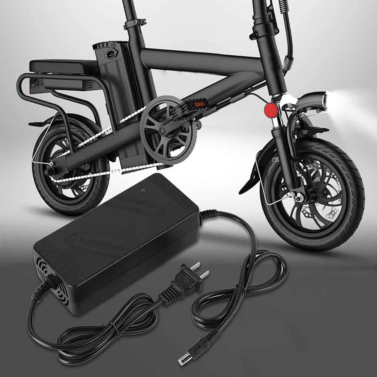 ZK30 Caricabatterie per batterie al litio 100 V‐240 V Testa CC per bicicletta elettrica (36 V/2 A) (48 V/2 A)