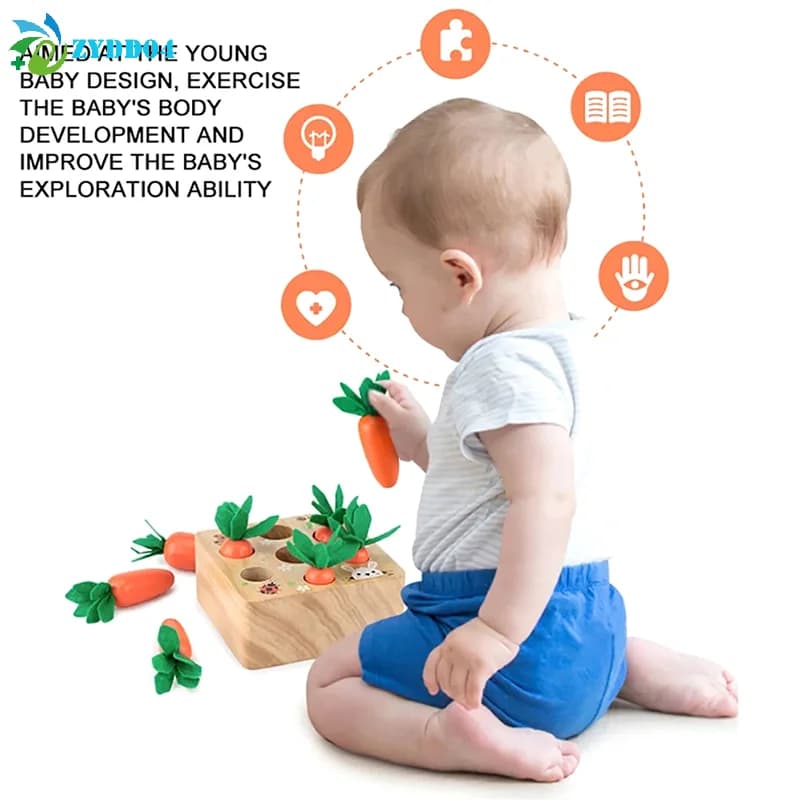 Gioco Educativo Montessori in Legno con Forme Assortite e Carote, Puzzle per lo Sviluppo della Motricità Fine e Attività Sensoriali per Bambini