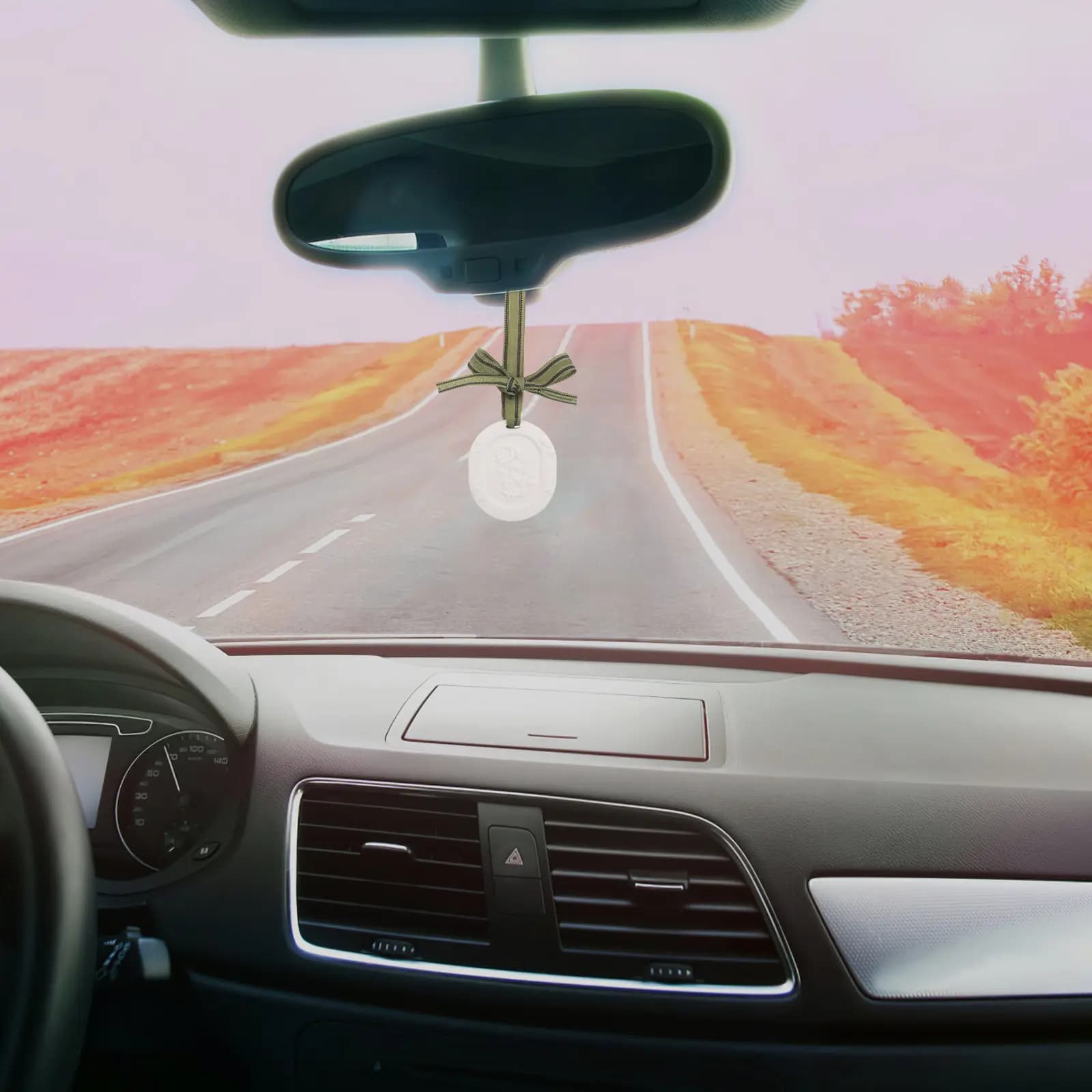 10Pcs Car Essential Oil Diffuser Hanging Fragrance Discs Plaster Ribbon Passive Clay Disc Pendant Auto Wardrobe Air Freshener