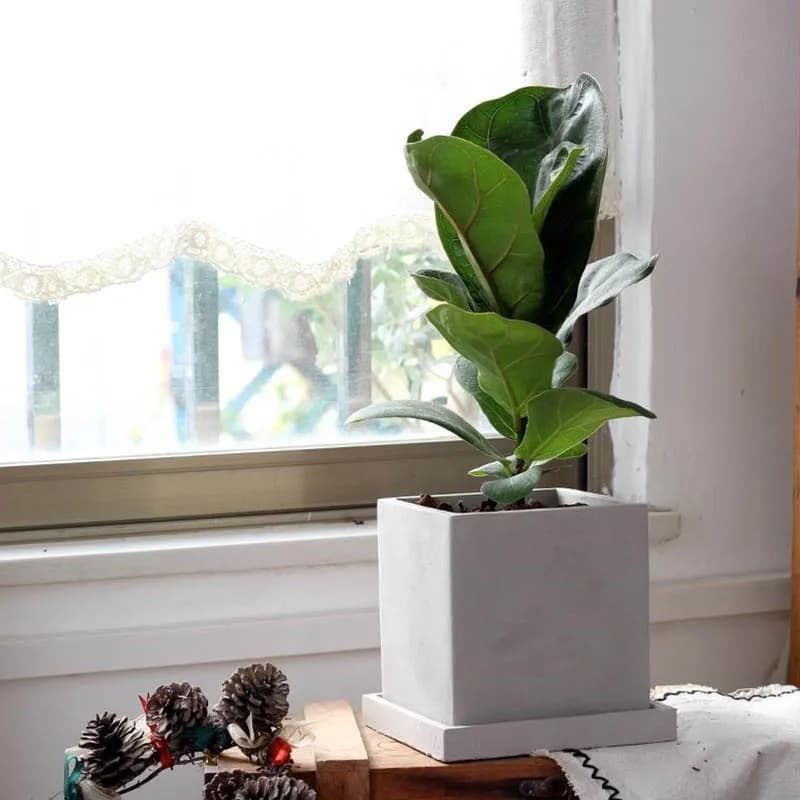Large Square Flowerpot Silicone Molds Concrete Cement Planter Mold Home Garden Plant Pot Clay Storage Box Molds