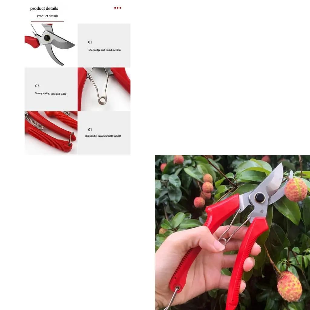 Garden hedge hedges 652F to cut edges hedge hedges with extendable handle