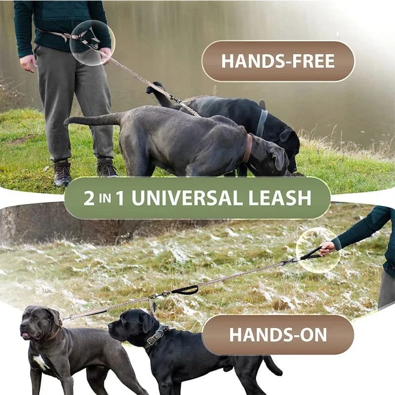 2in1 Dog Leash,Waist Dog Lead Adjustable Elastic Extendable Hands-Free 2 Dog Leash,No Tangle For Running Walking,Pet Leash.