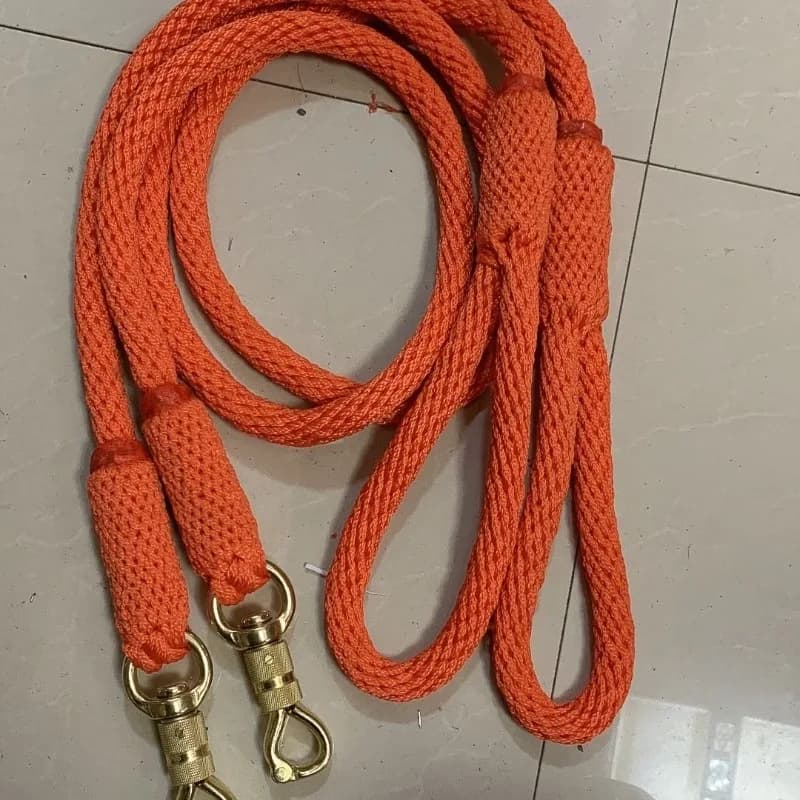 Guinzaglio per cani di grossa taglia, guinzaglio con chiusura in rame di grandi dimensioni