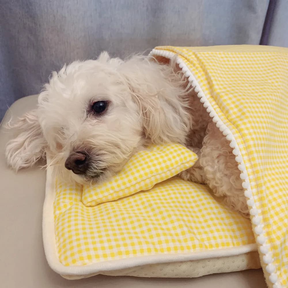Tappetino per animali domestici in tre pezzi Autunno e inverno in cotone scozzese per cani e gatti Comodo trapunta calda per animali domestici Letti per cani Letto per gatti Casa per gatti