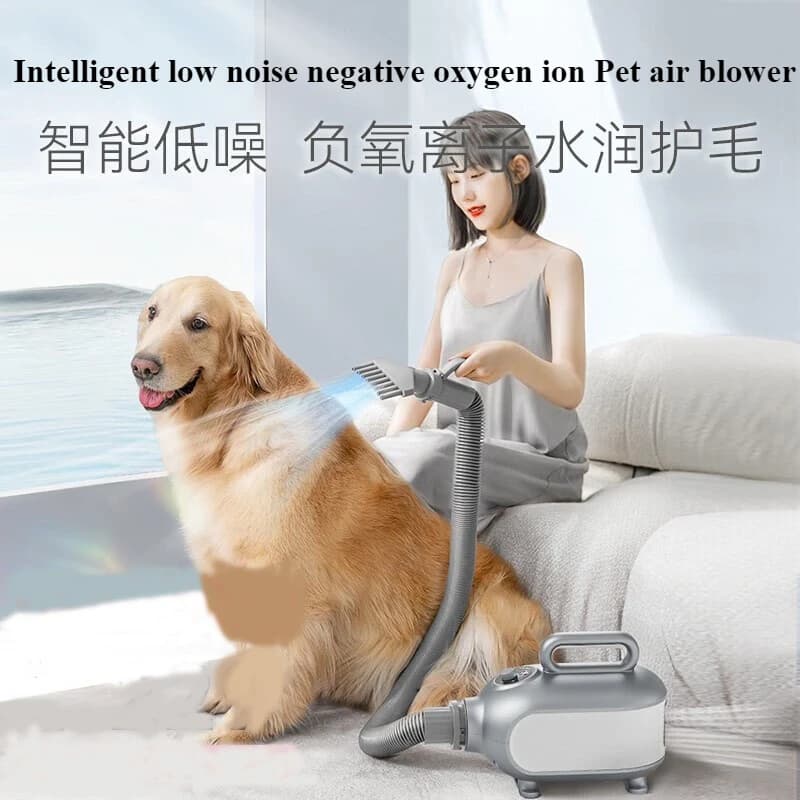 Soffiatore Intelligente ad Alta Potenza per Animali Domestici, Macchina Soffia Acqua per Negozi di Animali, Riduzione del Rumore, Ioni Negativi, Accessori per la Toelettatura