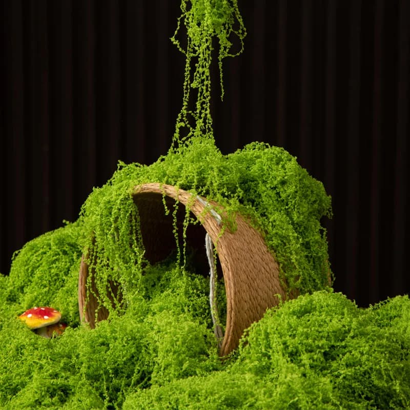 Eternal Musk 200g for Fa-da-Te Crafts, Artificial Green Plants, Home Decoration, Garden, Mini Landscape, Fin Grass for Bonsai