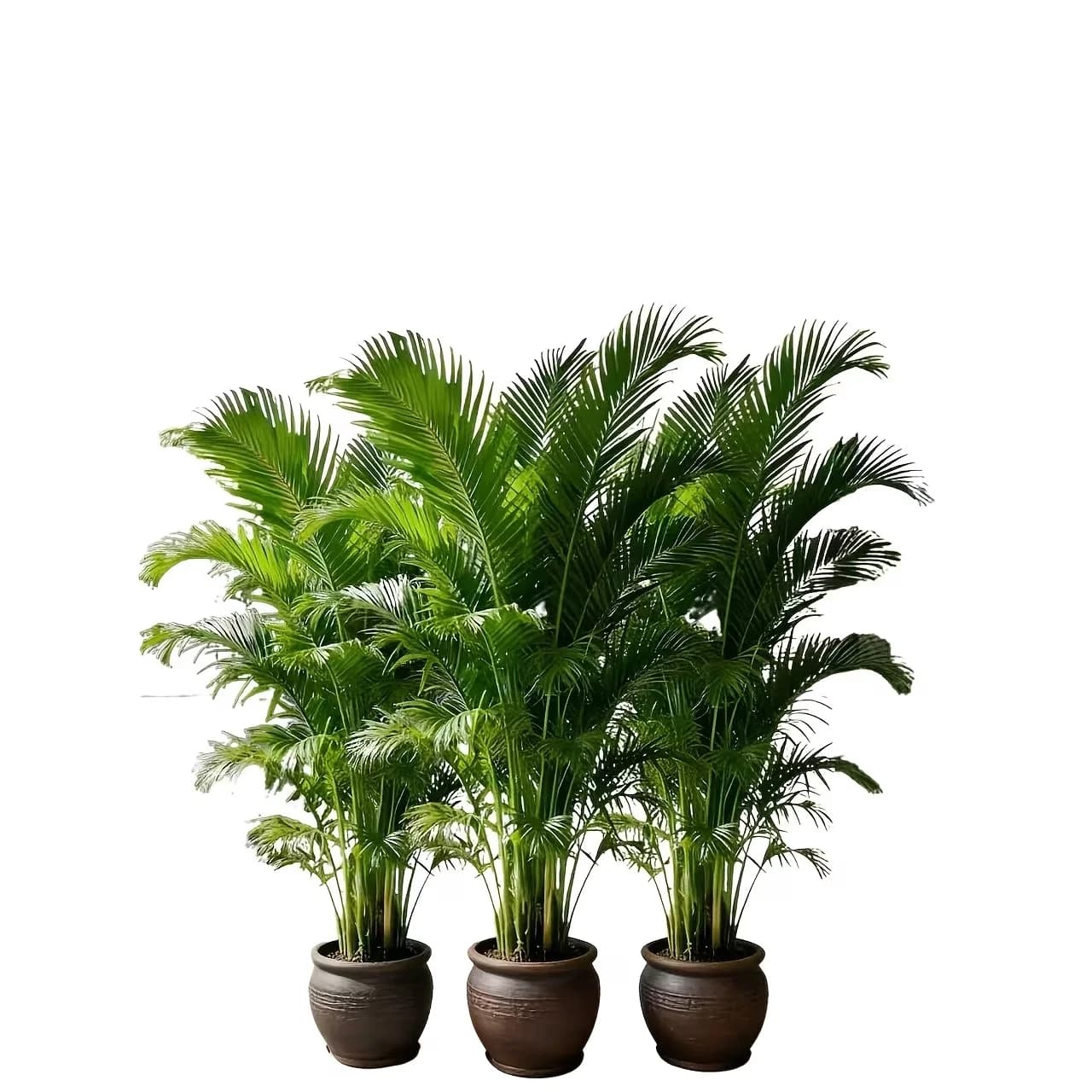 1 Piece of Enormous Artificial Green Plant for Exterior | Artificial Palm, Without Maintenance, Suitable for Interior/Esternean Decorations