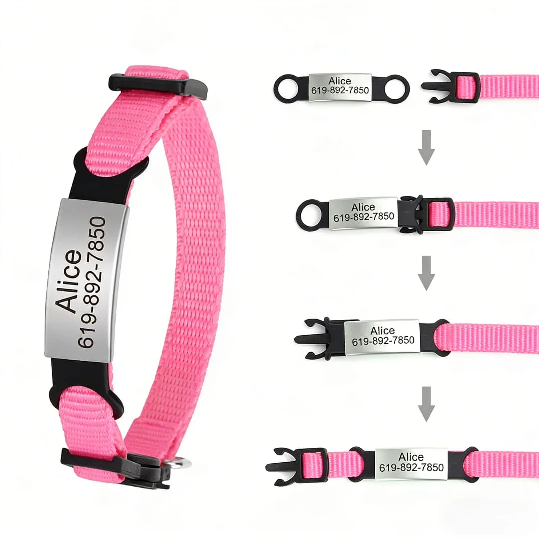 Collare per Gatti Personalizzato Riflettente con Incisione Gratuita, Targhetta ID per Cuccioli e Gattini, Collana con Campanello Anti-smarrimento per Gatti
